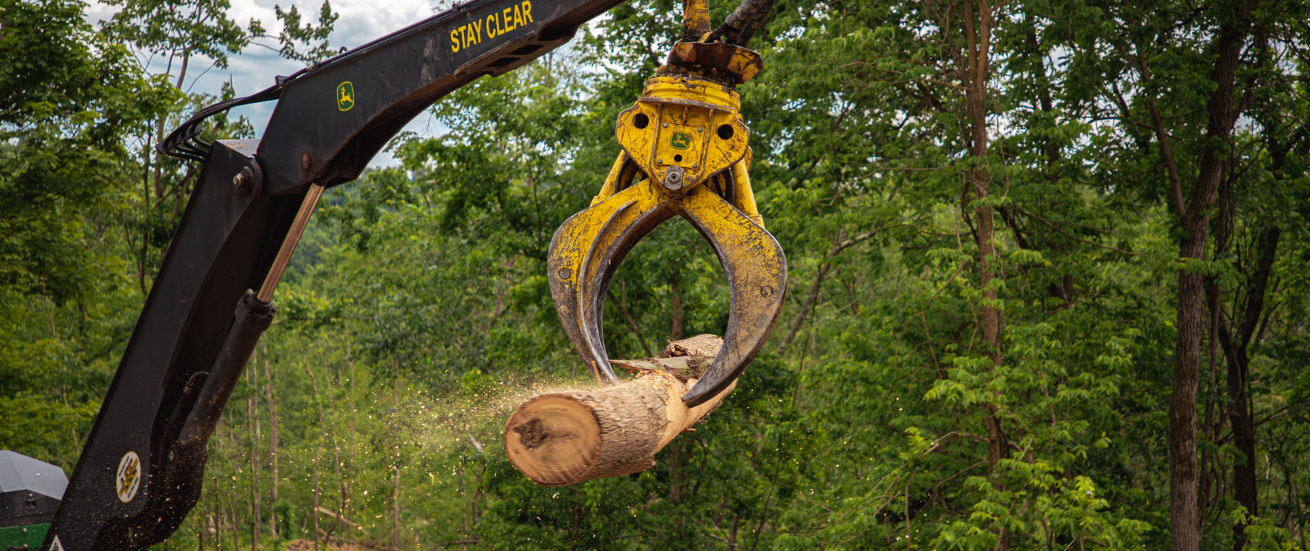 local timber buying company